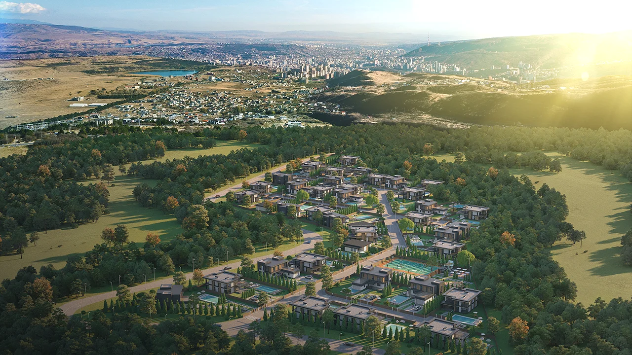 Lisi Panorama — A Balance Between Nature and Urban Rhythm